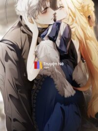 Ảnh bìa của Sự Trở Về Bí Ẩn Của Anh Trai