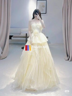 Ảnh bìa của Chiếc Váy Dạ Hội Đánh Đổi