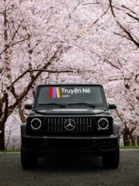 Ảnh bìa của Biến Mất Trong Đêm