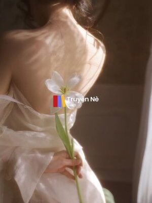 Ảnh bìa của Kết Thúc Của Một Cuộc Tình