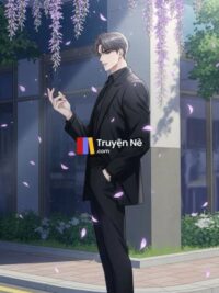 Ảnh bìa của Khi Diệu Xuyên Phục Hồi