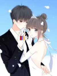 Ảnh bìa của Khi Tôi Về Nhà Họ Phó