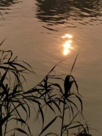 Ảnh bìa của Bộ Mặt Thật