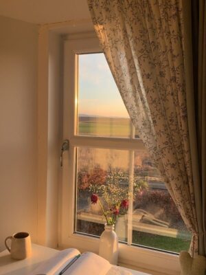 Ảnh bìa của Thần Tài Của Tôi