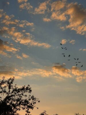 Ảnh bìa của Hai Kiếp Ảnh Hậu