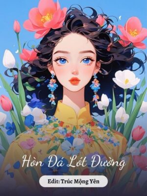 Ảnh bìa của Hòn Đá Lót Đường