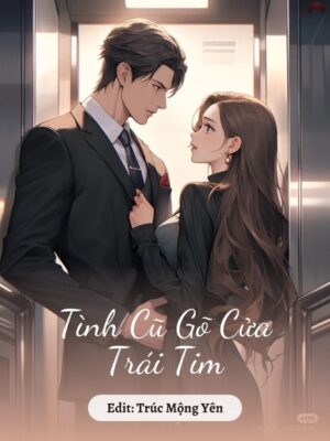 Ảnh bìa của Tình Cũ Gõ Cửa Trái Tim