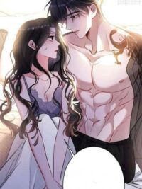 Ảnh bìa của Tổng Tài Kiêu Ngạo Của Tôi Đâu Rồi