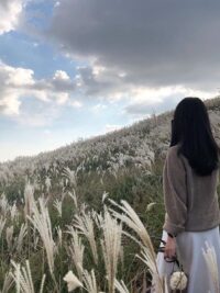 Ảnh bìa của Cái Giá Phải Trả