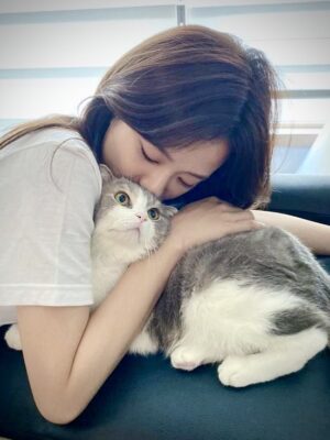 Ảnh bìa của Khi Ký Ức Tan Biến