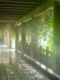 Ảnh bìa của Đứa Con Trong Bóng Tối