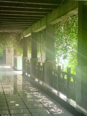 Ảnh bìa của Đứa Con Trong Bóng Tối