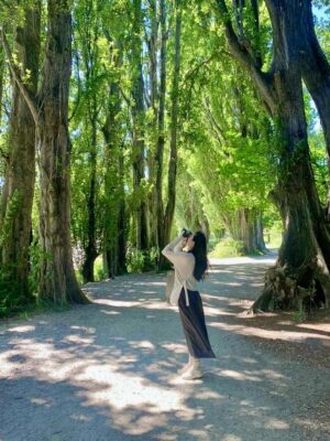 Ảnh bìa của Mvp Trong Trái Tim Tôi