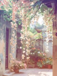 Ảnh bìa của Chấp Niệm Vô Tận