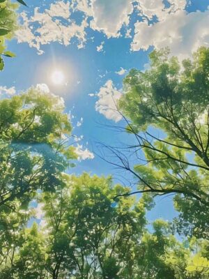 Ảnh bìa của Đảo Ngược Trái Tim