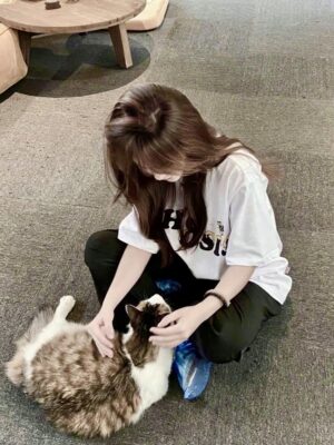 Ảnh bìa của 50 Con Heo, Một Tình Yêu