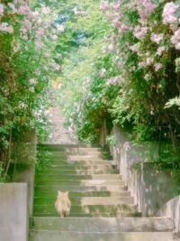 Ảnh bìa của Hối Hận Một Đời