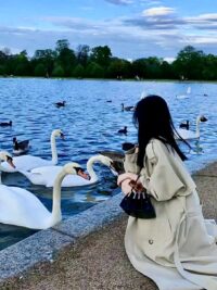 Ảnh bìa của Ngày Mai Anh Có Đến Không