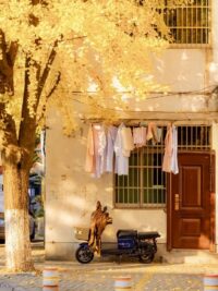 Ảnh bìa của Đứa Trẻ Không Ai Cần