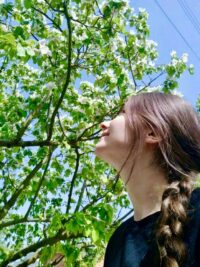 Ảnh bìa của Người Chị Bị Lãng Quên