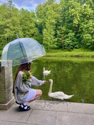 Ảnh bìa của Người Tôi Thích, Vẫn Luôn Là Cậu