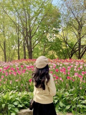 Ảnh bìa của Ảnh Hậu Cầu Con