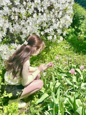 Ảnh bìa của Sổ Nợ Của Nhị Nha