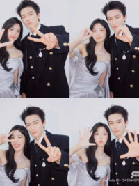 Ảnh bìa của Bình Hoa Vô Dụng Tuyệt Đẹp