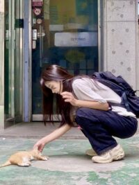 Ảnh bìa của Mèo Cam Dẫn Lối Tình Yêu