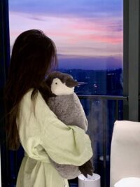 Ảnh bìa của Chim Hoàng Yến Không Nghe Lời