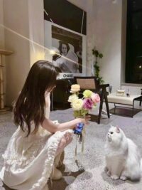 Ảnh bìa của Năm Năm Để Buông Tay