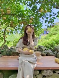 Ảnh bìa của Nữ Phụ Bảo Vệ Cho Nam Nữ Chính