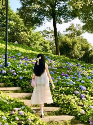 Ảnh bìa của Thần Tài Của Tôi Đến Rồi