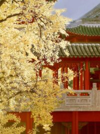 Ảnh bìa của Thiên Hạ Chỉ Muốn Một Người