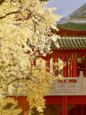 Ảnh bìa của Thiên Hạ Chỉ Muốn Một Người