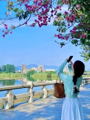 Ảnh bìa của Nếu Như Chưa Từng Gặp Gỡ