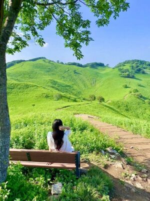 Ảnh bìa của Chồng À, Em Vẽ Anh Thành Nam Chính Rồi