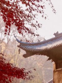 Ảnh bìa của Ba Nước Cờ Định Giang Sơn