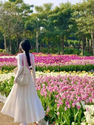 Ảnh bìa của Hợp Đồng Hôn Nhân Với Ảnh Đế