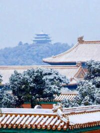 Ảnh bìa của Phu Quân, Ta Trả Tự Do Cho Chàng