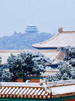 Ảnh bìa của Phu Quân, Ta Trả Tự Do Cho Chàng