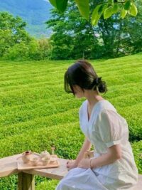 Ảnh bìa của Anh Có Biết Mình Đang Bảo Vệ Ai Không