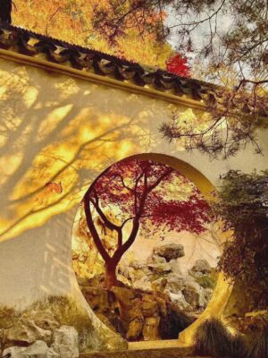 Ảnh bìa của Tông Nương, Phu Quân Của Nàng Ở Đây