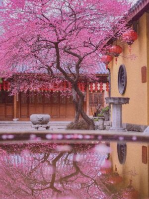 Ảnh bìa của Để Ta Cho Ngươi Nếm Mùi Nhân Quả