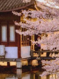 Ảnh bìa của Mộng Cảnh Hay Điềm Báo