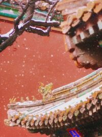 Ảnh bìa của Nàng Cho Ta Hy Vọng