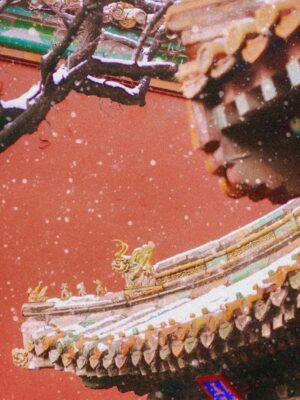 Ảnh bìa của Nàng Cho Ta Hy Vọng