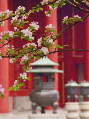 Ảnh bìa của Bệ Hạ, Đến Lúc Lui Xuống Rồi