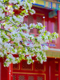 Ảnh bìa của Khi Trái Tim Hóa Lạnh