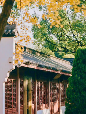 Ảnh bìa của Mười Lượng Bạc, Một Kiếp Hồng Trần